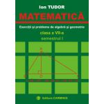 Matematica - Exercitii si probleme de algebra si geometrie - Clasa a VII-a - Semestrul I