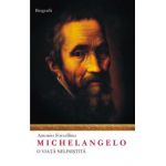 Michelangelo - O viata nelinistita