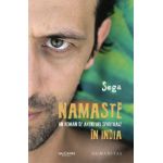 Namaste. Un roman de aventuri spirituale in India