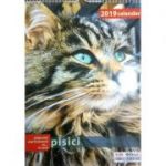 Calendar 2019 pisici
