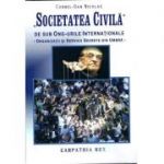 Societatea civila, de sub ONG-urile Internationale. Organizatii si servicii secrete din umbra
