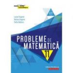 Probleme de matematică pentru clasa a XI-a - Ovidiu Badescu