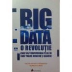 Big Data. O revolutie care va transforma felul in care traim, muncim si gandim - Viktor Mayer-Schonberger