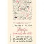 Delicatele frumuseţi ale vieţii - Cheryl Strayed