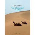 Trei săptămâni în Atlas - Marius Chivu