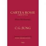 Cartea Roșie. Ediția fără ilustrații - C. G. Jung