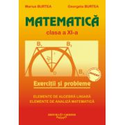 Matematica - Exercitii si probleme - Clasa a XI-a