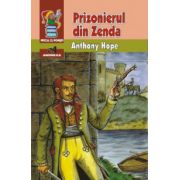 Prizonierul din Zenda