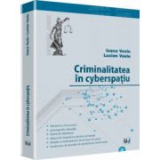 Criminalitatea in cyberspatiu