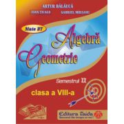 Auxiliar de Algebra si Geometrie pentru clasa a VIII-a, semestrul II - 2014