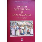 Tiganii din Europa si din Romania. Studiu imagologic