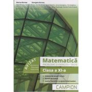 Matematica. Probleme si exercitii, teste clasa a XI-a (PROFIL TEHNIC) - Sisteme de ecuatii liniare, Functii derivabile, Studiul functiilor cu ajutorul derivatelor