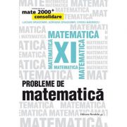 Probleme de matematica pentru clasa a XI-a. Consolidare (Colectia, mate 2000+)