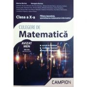 Culegere de matematica clasa a X-a - Filiera teoretica, specializarea matematica-informatica