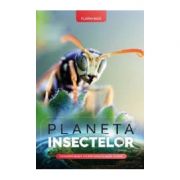 Planeta insectelor - Florin Bica