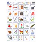 Plansa. Alfabetul ilustrat al limbii franceze