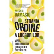 Strania ordine a lucrurilor - Antonio Damasio