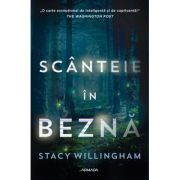 Scanteie in bezna - Stacey Willingham