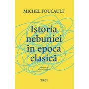 Istoria nebuniei în epoca clasică - Michel Foucault