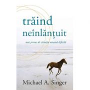 Traind neinlantuit - Michael A. Singer