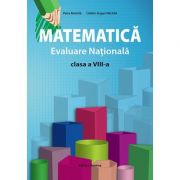 Matematica, Evaluare nationala clasa a VIII-a - Petre Nachila
